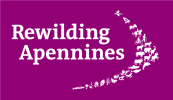 Rewilding Apennines purple